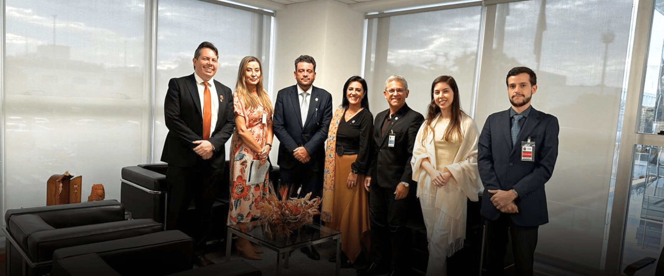 ANAJUS reforça no CNJ defesa pela ampliação do teletrabalho a assistentes de desembargadores