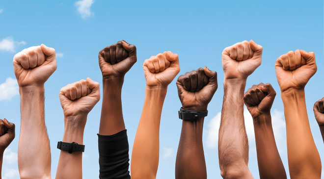 Valorização das Carreiras dos Analistas - ANAJUS