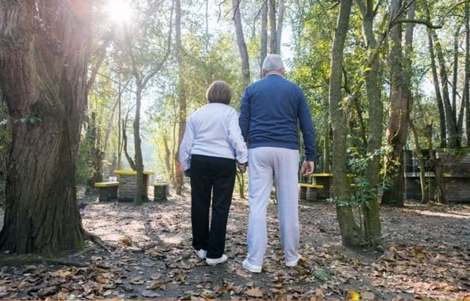 Servidores Federais: até 2025, 40% poderão estar aposentados