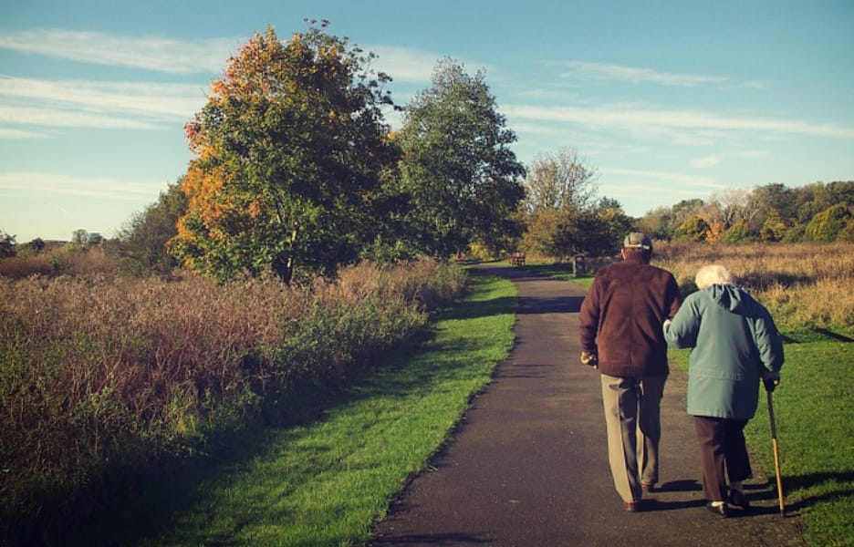 Apenas 29% das vagas deixadas por servidores aposentados foram repostas