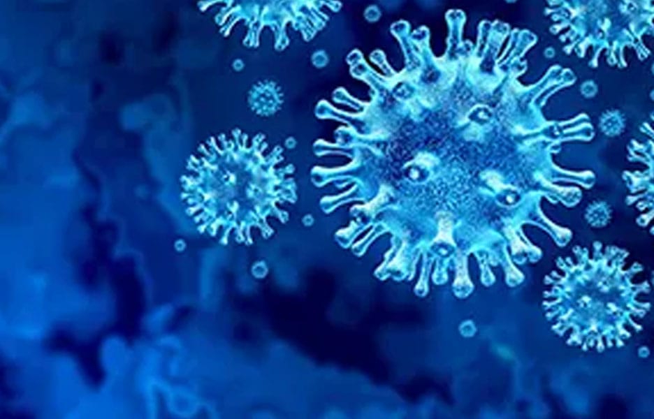 Pressione o seu senador contra o congelamento de salários e ajude a combater a pandemia