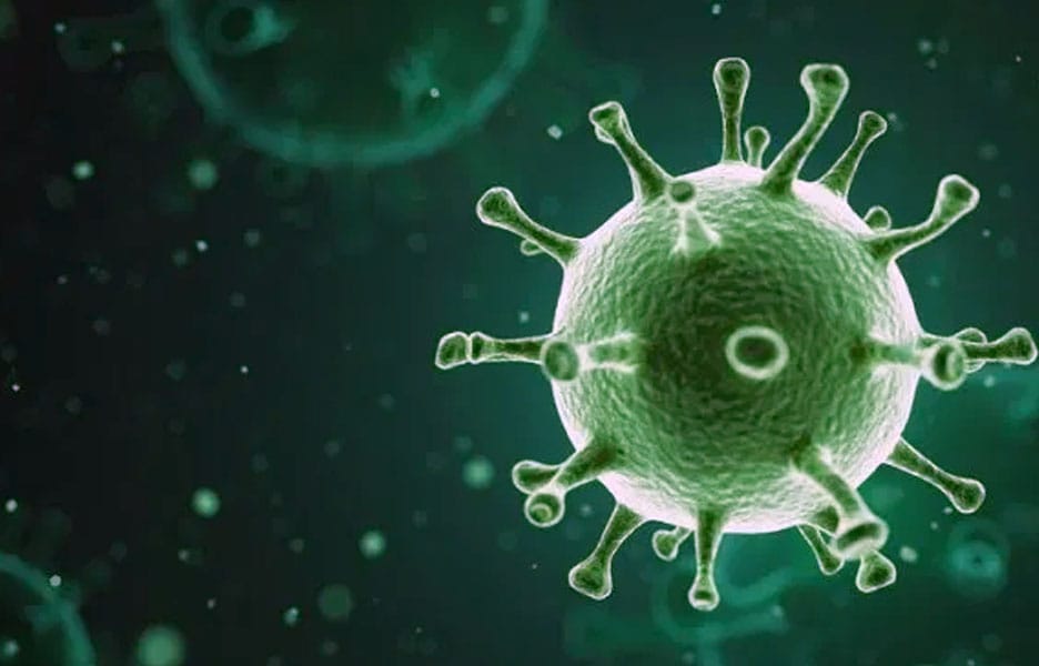 STF derruba parte da MP 927 e caracteriza Covid-19 como doença profissional