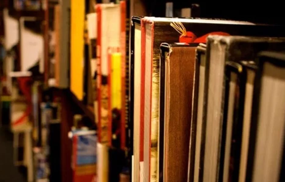 CEOs de 8 startups indicam opções de leitura para a quarentena