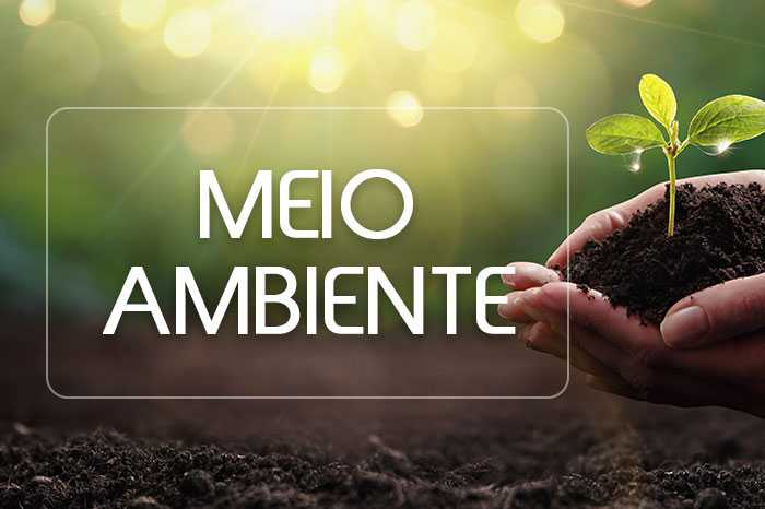 MP institui Grupo de Trabalho de Defesa da Amazônia