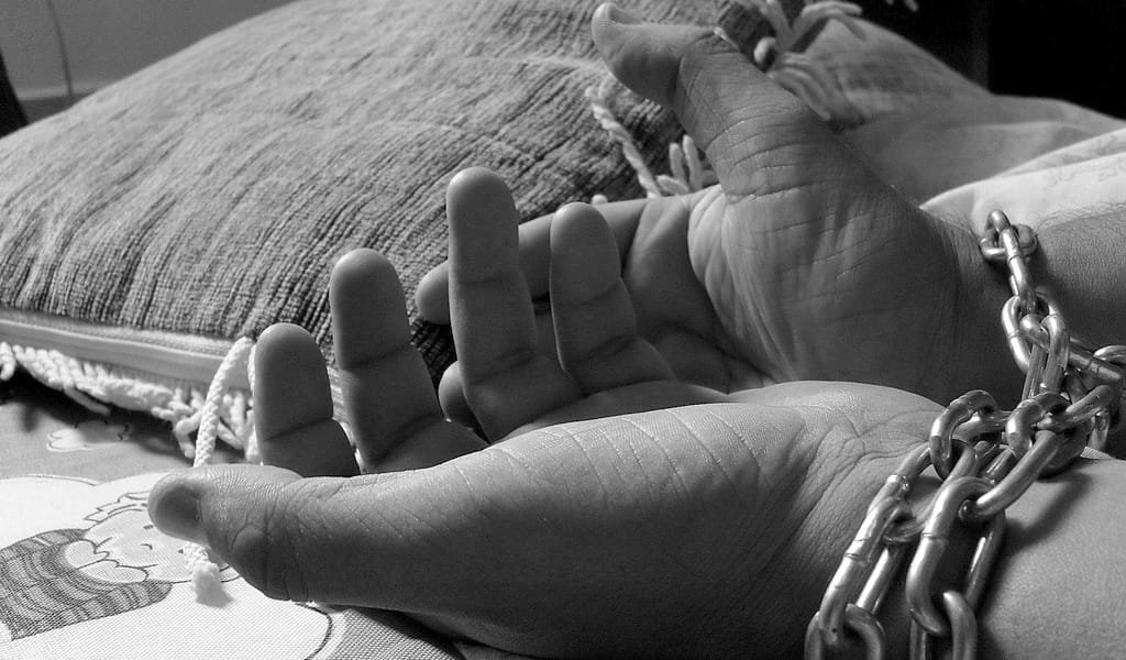 Entidades relançam movimento de ação integrada para combater trabalho escravo